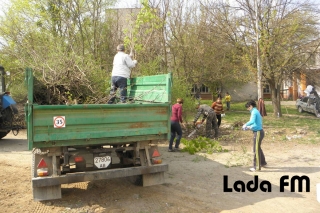 У День довкілля в Ладижині було впорядковано більше 55 га територій,- міськрада