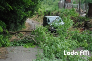 Відсутність ремонту доріг вивела жителів трьох сіл Тростянеччини на вулицю