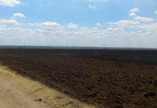Біля Ладижинських хуторів вигоріло поле пшениці
