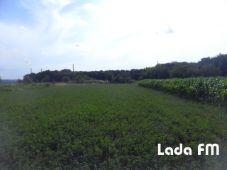 У місті Ладижині продається земельна ділянка