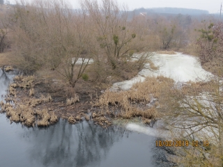 Неочищеними стоками з Гайсинського району отруєно річку Сіб
