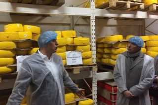 Гайсинські сировари виробляють сири для вінничан та на експорт