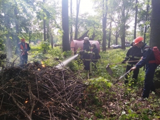 У Ладижині рятувальники і лісівники дощового дня провели навчання з ліквідації пожежі 