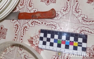 Проти літньої жінки з ножем: у Гайсинському районі затримали нападника