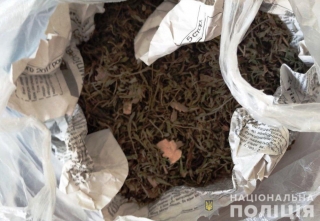 Біля кілограма марихуани вилучили поліцейські у жителя Тульчина