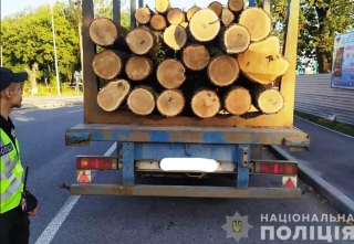 На Вінниччині поліція посилила контроль за перевезеннями лісоматеріалів